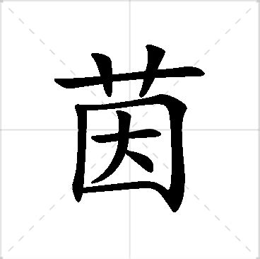 茵名字